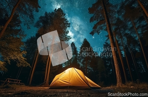 Image of Stargazing from a forest campsite