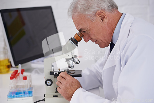 Image of Doctor, microscope and research in lab for medical experiment, vaccine study or pharmaceutical innovation. Investigation, mature scientist and biotechnology for development, dna or bacteria test