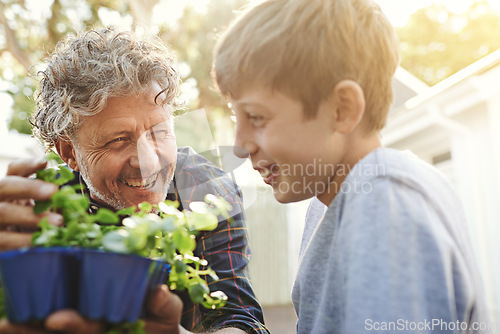 Image of Gardening, plants and kid with learning and grandfather on greenery growth, development and environment. Agro, eco friendly and senior man teaching boy child horticulture outdoor in backyard hobby