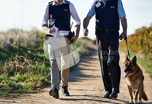 Image of Policeman, dog and walk in field for search in crime scene or robbery for evidence, safety and law enforcement. Detective, investigation and uniform in outdoor work at countryside with gravel road