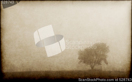 Image of lonely tree