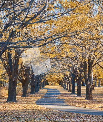 Image of autumn path
