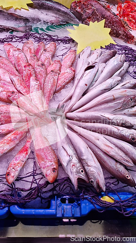Image of Many fish in a fish market