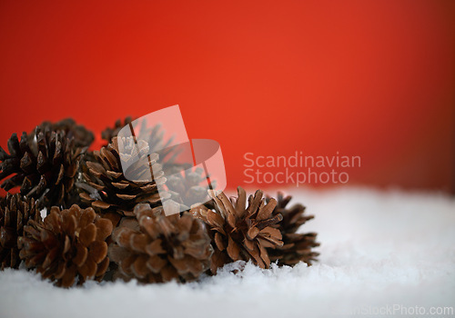 Image of Pine cones, studio and Christmas on snow, festive season and decoration on red background. Plant, nature and symbol of holiday celebration on mockup space, object and traditional ornament on backdrop