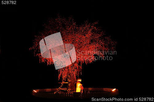 Image of red chinese tree