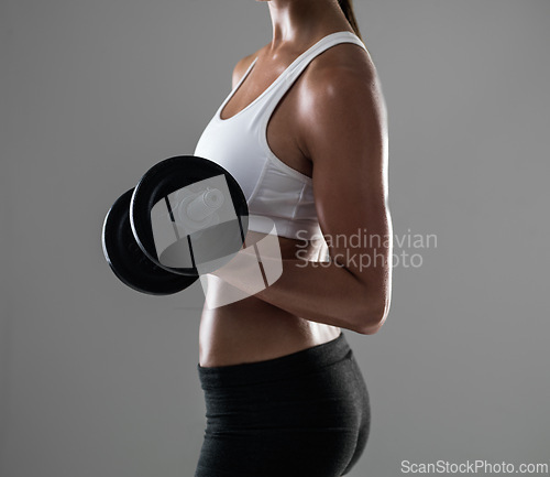 Image of Woman, hands and weightlifting with dumbbell for muscle gain, workout or exercise on a gray studio background. Closeup of female person or bodybuilder with weight in arm or bicep curl on mockup space