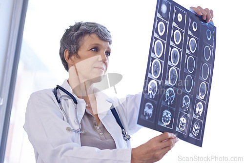 Image of Woman, mature doctor and review xray for planning medical treatment, surgery and healthcare at hospital. Brain scan, neurology and radiology with surgeon for health assessment, anatomy and MRI