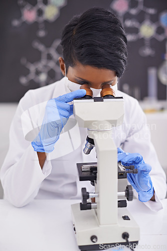 Image of Woman, microscope and scientist in laboratory for research, experiment and innovation. Science, technology and researcher or doctor with medical equipment for sample analysis and bacteria testing