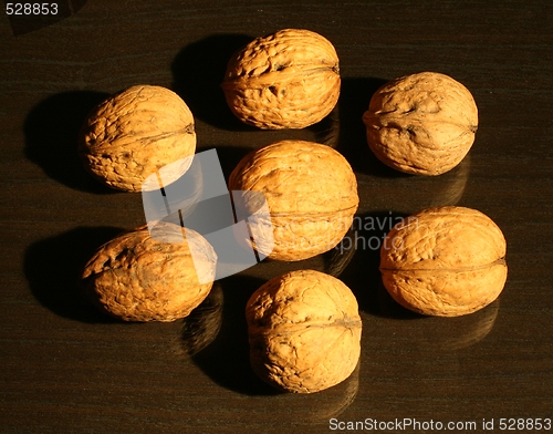 Image of The 7 walnuts on the dark surface