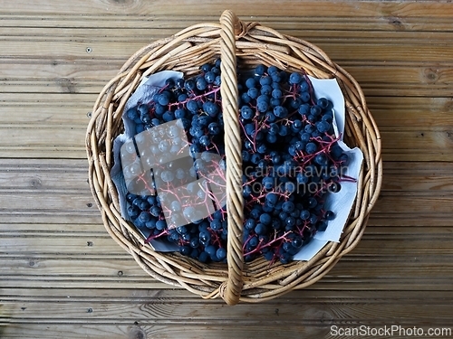 Image of bunches of  blue ripe grapes in a wicker basket