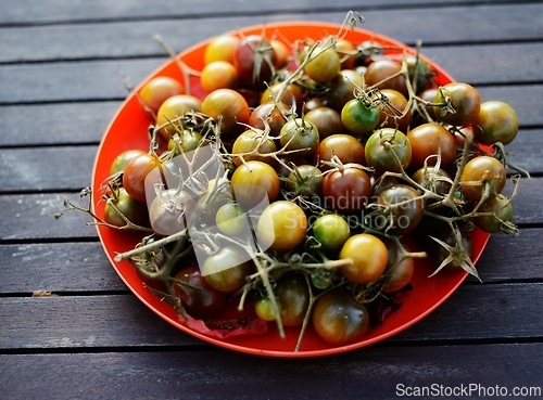 Image of small green tomatoes in a red plate 