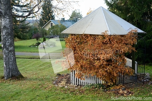 Image of gazebo covered with yellow autumn leaves