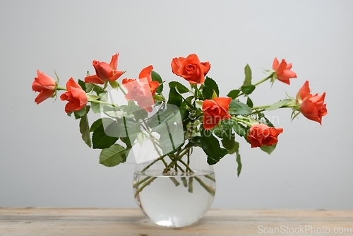 Image of beautiful roses in a glass vase