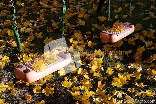 Image of kids swing in the yard in autumn covered with autumn yellow leav