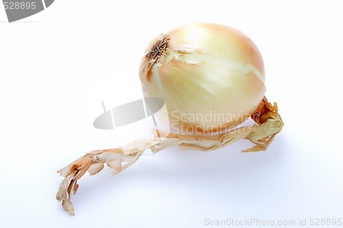 Image of Vegetables, Onion