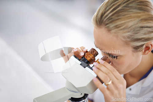 Image of Woman, research and scientist with microscope for exam, test or scientific discovery at laboratory. Face of female person or medical expert looking in zoom lens or scope for breakthrough in biology