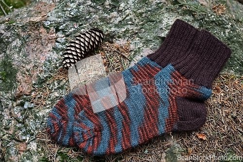 Image of a pair of brown striped socks in the forest on a stone