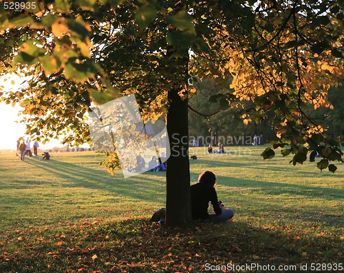 Image of Persons Sitting under Tree