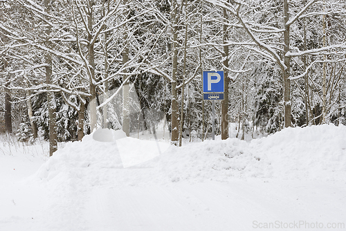 Image of bus parking near a forest in winter