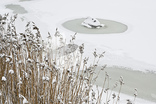 Image of winter lake, stone under snow and reeds 