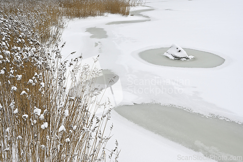 Image of winter lake, stone under snow and reeds 