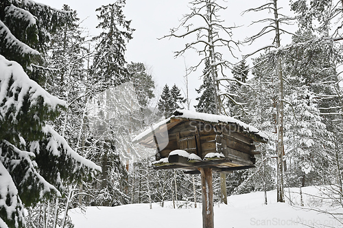 Image of Traditional timber food cache on top of a tree trunk in the fore