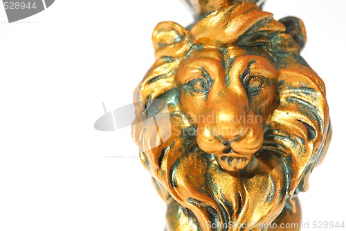Image of Golden Lion