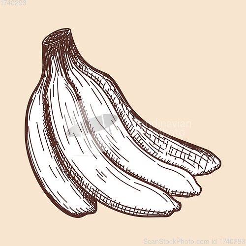 Image of Icon Of Banana