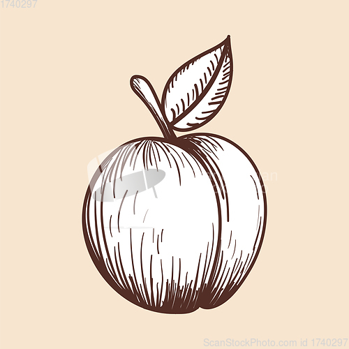 Image of Icon Of Peach