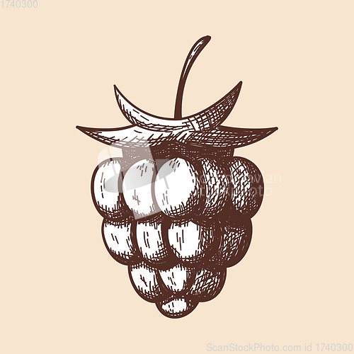 Image of Icon Of Raspberry