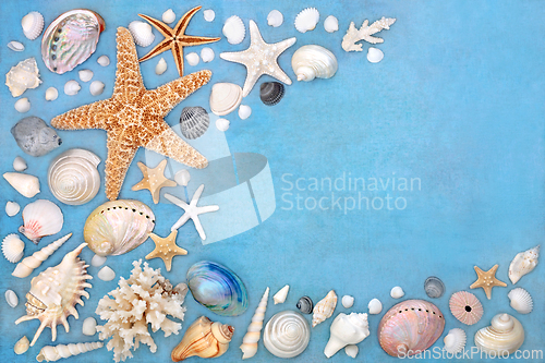 Image of Abstract Seashell Collection Nature Background Border  