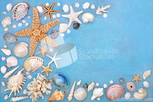 Image of Abstract Seashell Collection Nature Background Border  