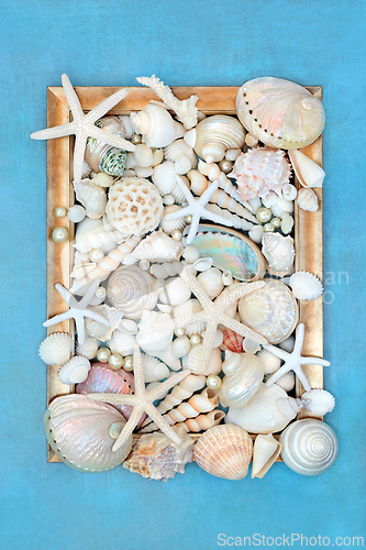 Image of Decorative Sea Shell and Pearl Abstract Frame 