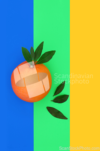 Image of Summer Orange Citrus Fruit for Good Health
