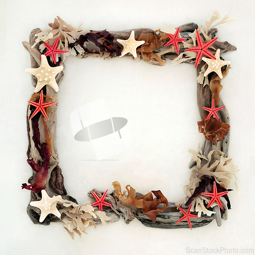 Image of Starfish Driftwood and Seaweed Abstract Frame  