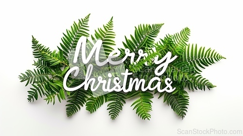 Image of Words Merry Christmas created in Fern Leaf Letters.