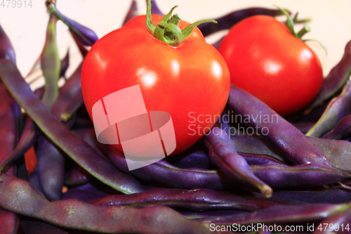 Image of red tomatoes and lilac pods of haricot