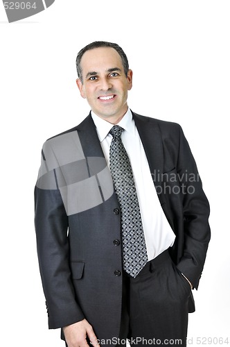 Image of Businessman on white background