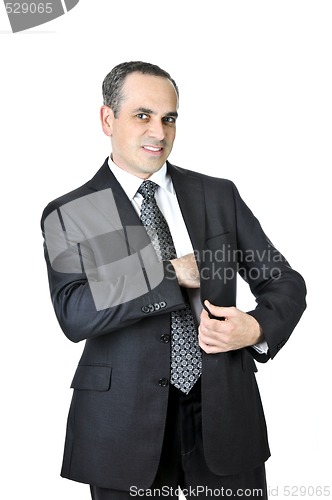 Image of Businessman on white background