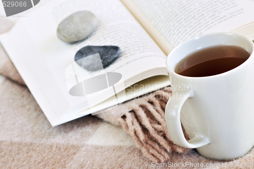 Image of Relaxing reading with tea