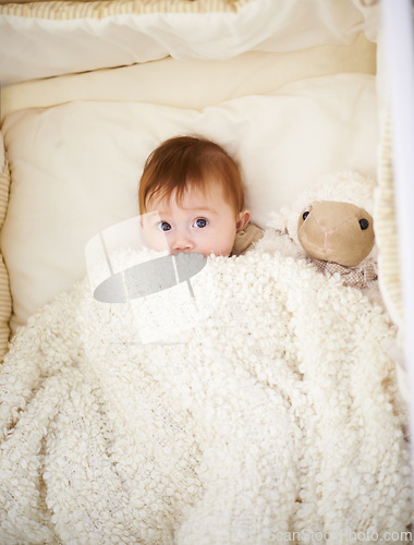Image of Baby, bed and blanket with sheep in home, above and healthy with growth, development and playing in morning. Infant, child and newborn with lamb doll, soft toys and relax in bedroom at family house