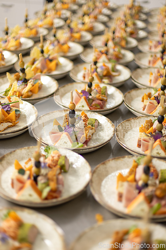 Image of Elegant catering appetizers on plates