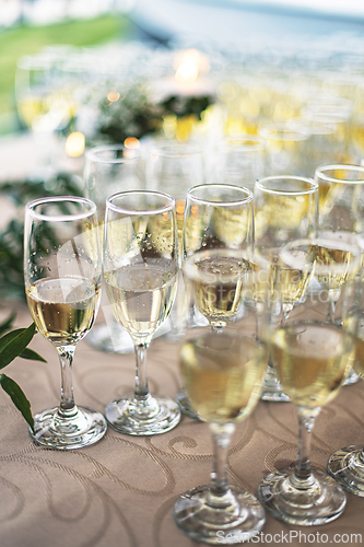 Image of Sparkling champagne glasses