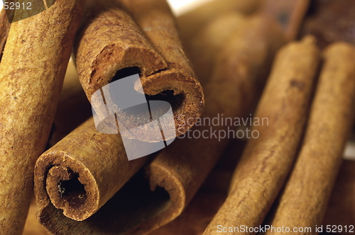 Image of Cinnamon