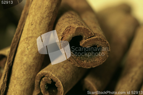 Image of Cinnamon