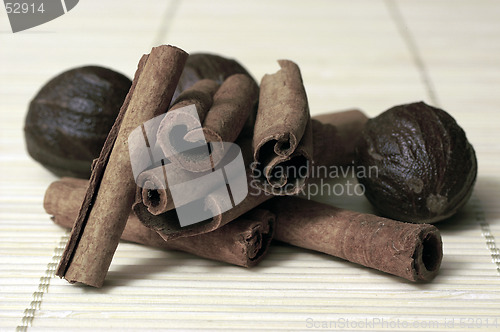 Image of Cinnamon