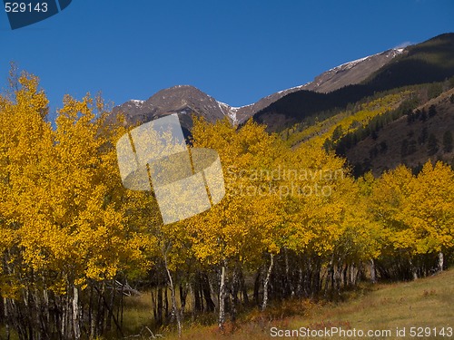 Image of Mt. Chapin Autumn