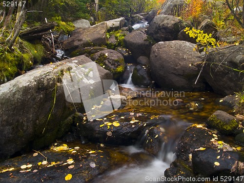 Image of Mill Creek Autumn