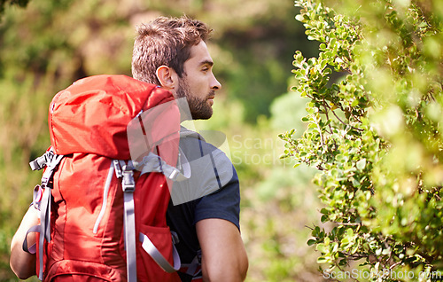 Image of Man, hiking and nature for fitness, health and wellness with back and mountain. Athlete, exercise and adventure with summer, sunshine and backpack journey on cape town trail with travel and vacation