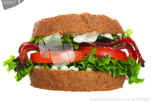 Image of BLT